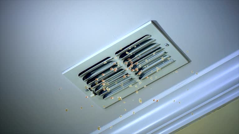 Best Emergency Air Duct Cleaning  in Forsyth, MO